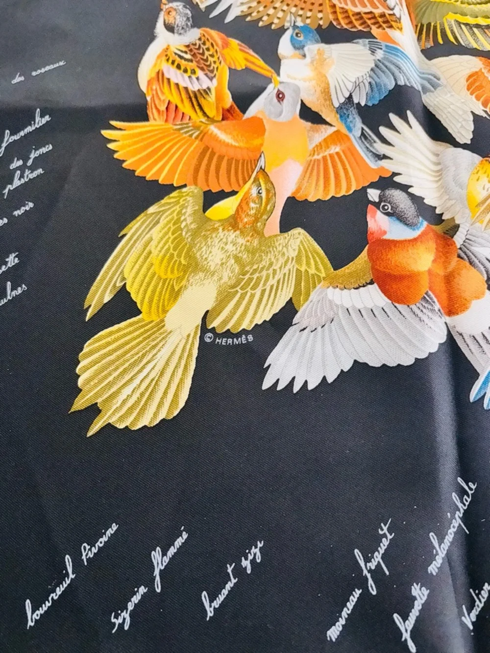 Hermès L'Intrus Silk Carré 90 Bird Scarf